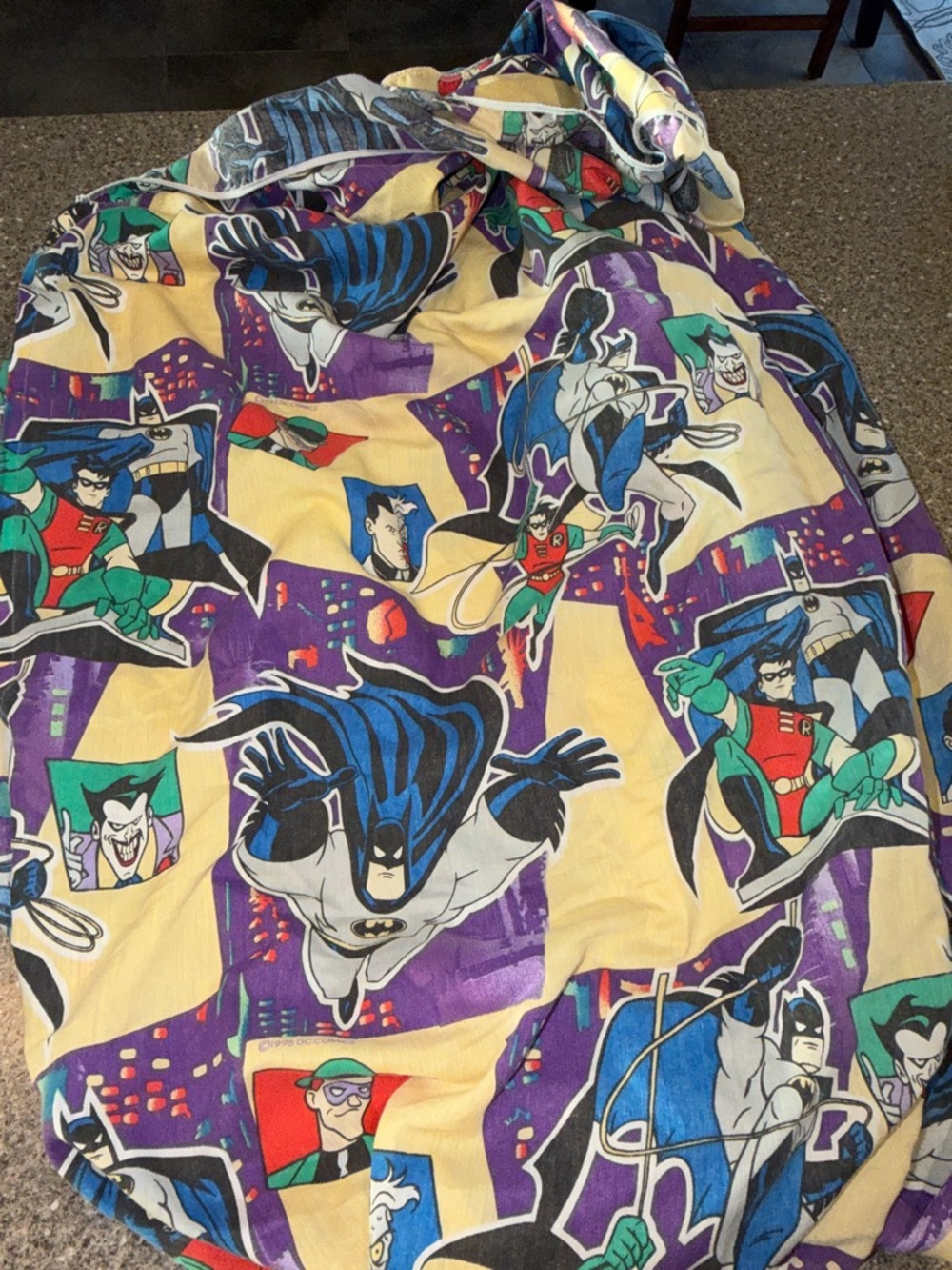 1995 DC Comics Boys Batman & Robin Sheet